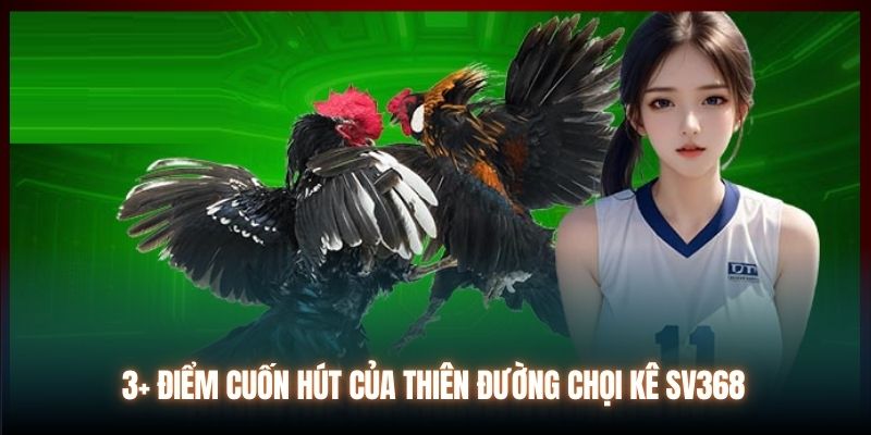 3+ điểm cuốn hút của thiên đường chọi kê SV368
