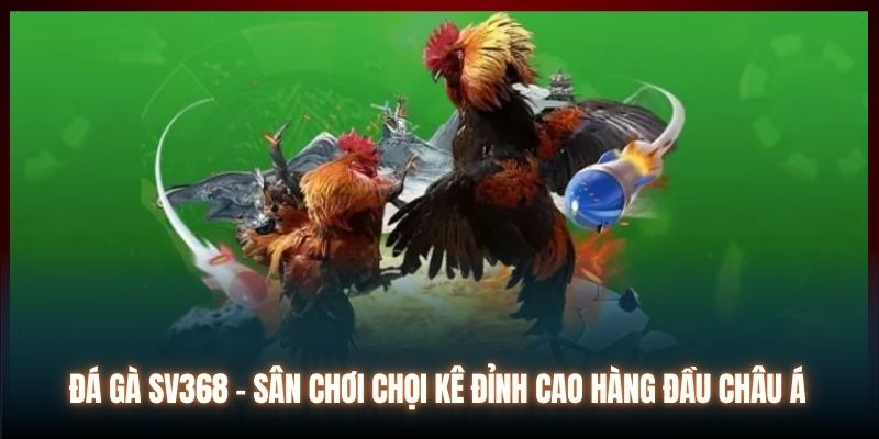 Đá Gà SV368 - Sân Chơi Chọi Kê Đỉnh Cao Hàng Đầu Châu Á