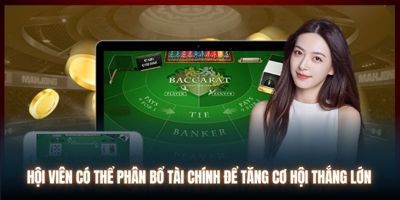 Hội viên có thể phân bổ tài chính để tăng cơ hội thắng lớn