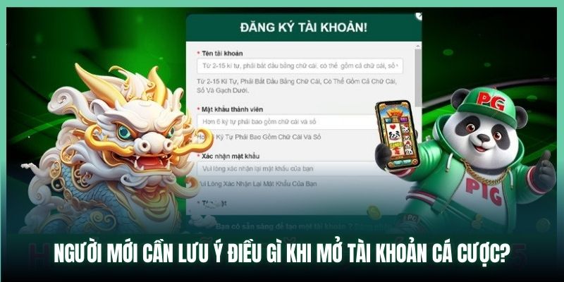 Người mới cần lưu ý điều gì khi mở tài khoản cá cược?