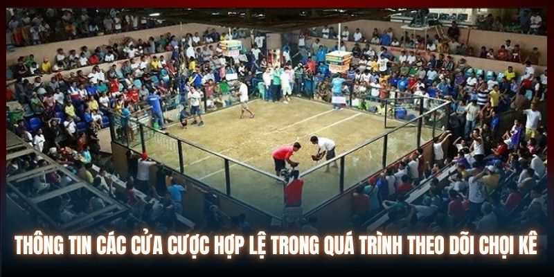 Thông tin các cửa cược hợp lệ trong quá trình theo dõi chọi kê