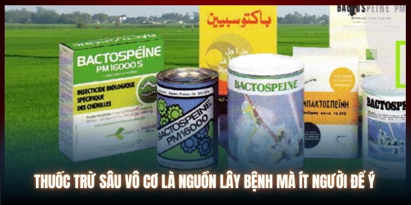 Thuốc trừ sâu vô cơ là nguồn lây bệnh mà ít người để ý