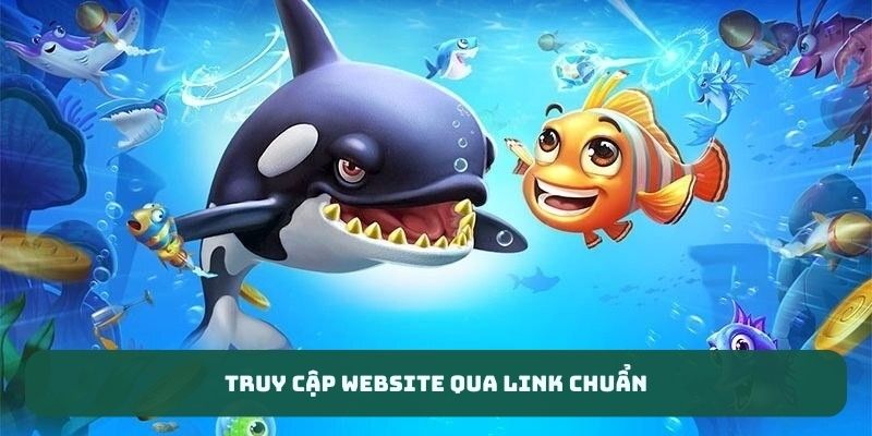 Truy cập website qua link chuẩn